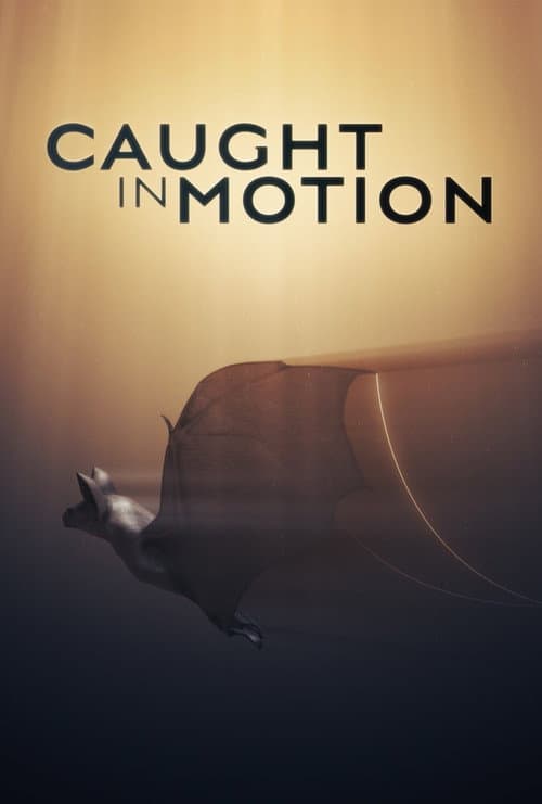 Caught in Motion (2025) poster