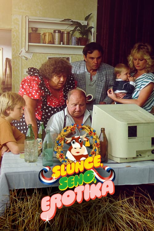 Slunce, seno, erotika (1991) poster