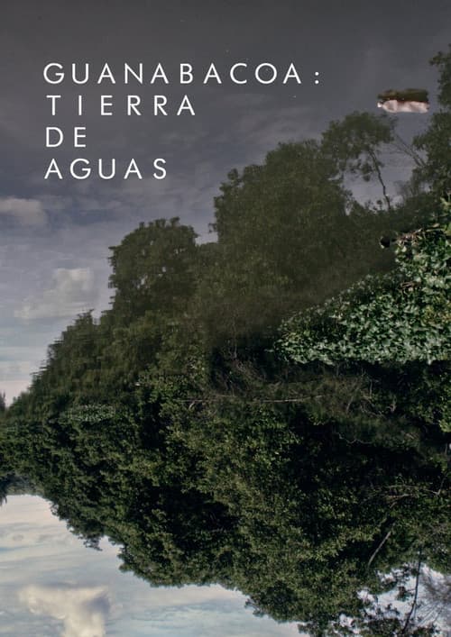 Guanabacoa, tierra de aguas (2021) poster