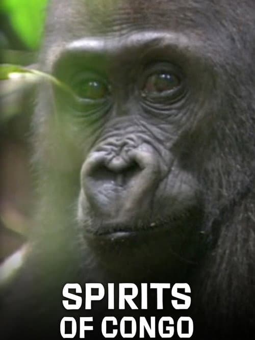 Spirits of Congo (2020) poster