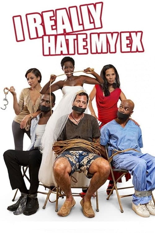 I Really Hate My Ex (2015) poster