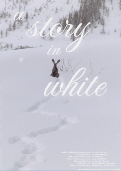A story in white (2026) poster