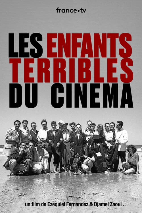 Les Enfants Terribles du Cinéma (2011) poster