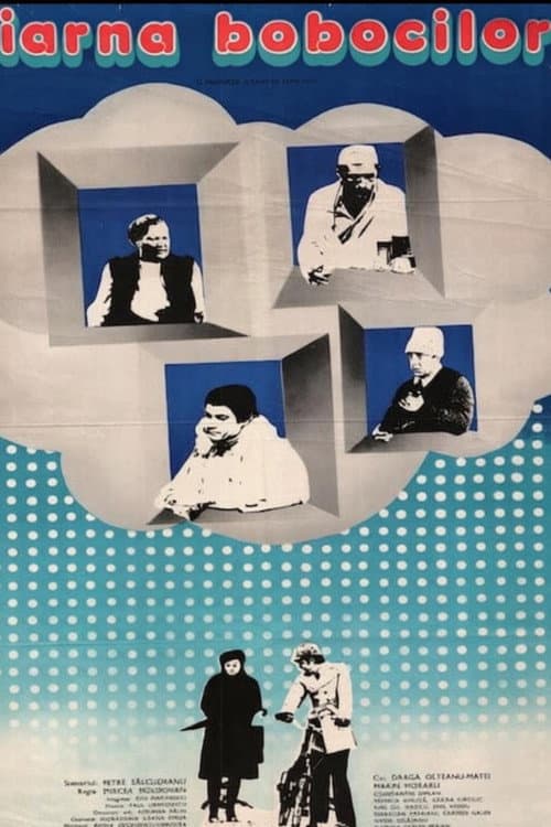Iarna bobocilor (1977) poster