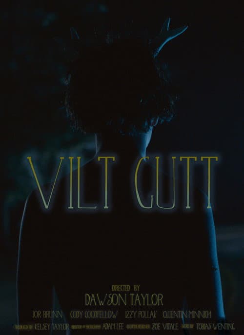 Vilt Gutt (2016) poster