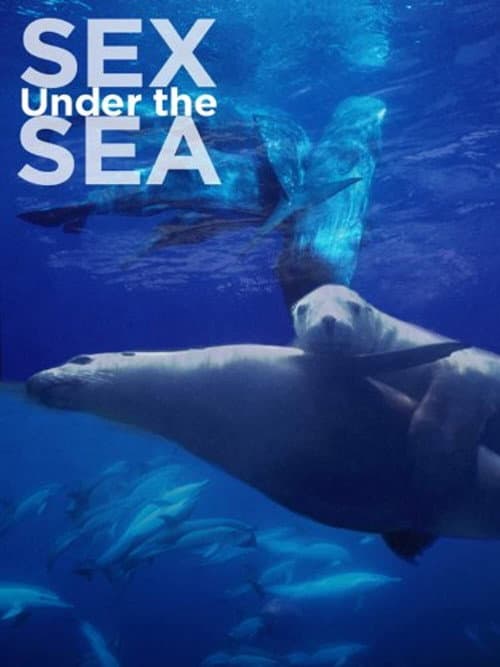 Sexe en Haute Mer (2011) poster