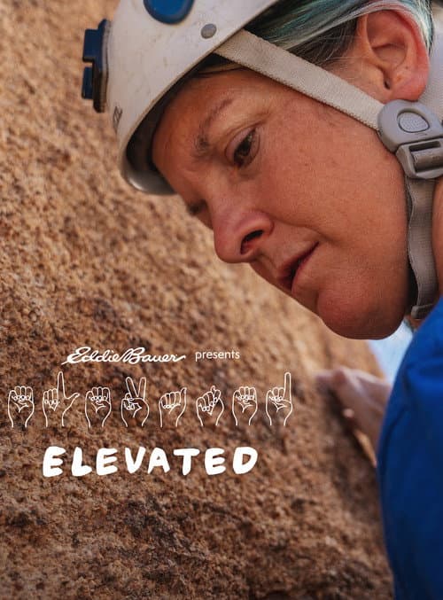 Elevated (2023) poster