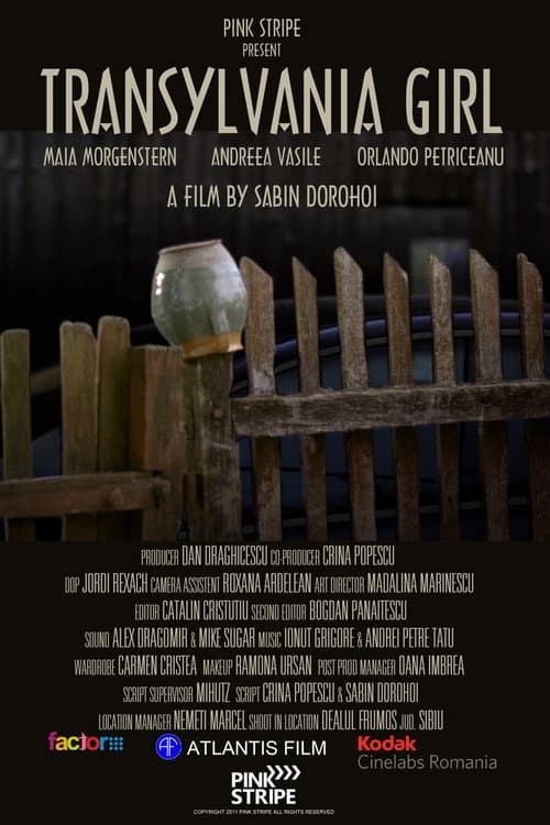 Fata din Transilvania (2011) poster