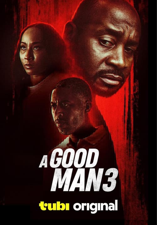 A Good Man 3 (2026) poster