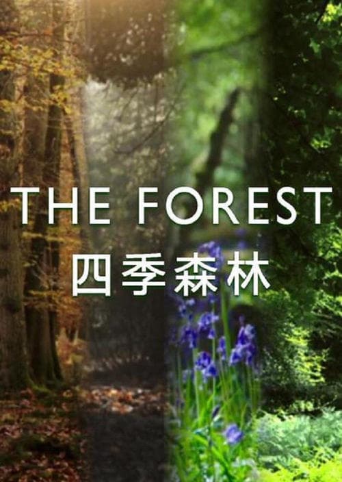 The Forest (2017) poster