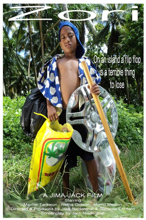 Zori (2013) poster