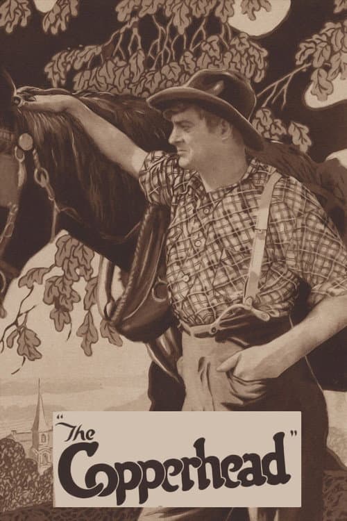 The Copperhead (1920) poster