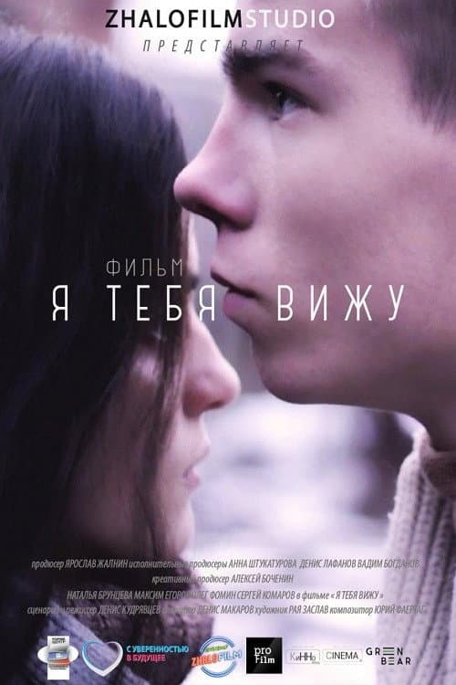 Я тебя вижу (2017) poster