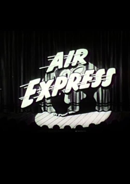The Air Express (1937) poster