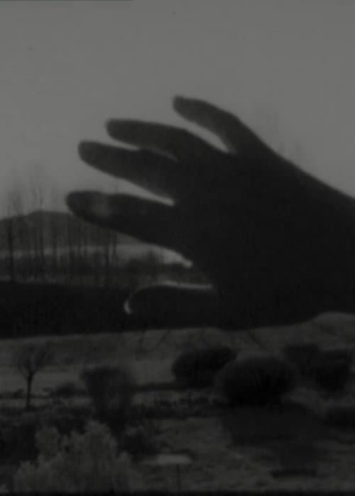 Sole in mano (o appropriazione, a propria azione, azione propria) (1973) poster