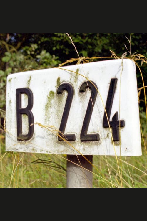 B 224 (1999) poster