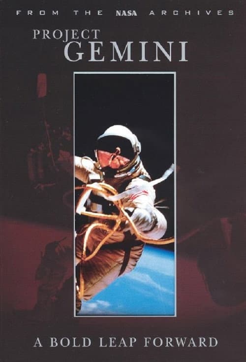 Project Gemini: A Bold Leap Forward (2002) poster