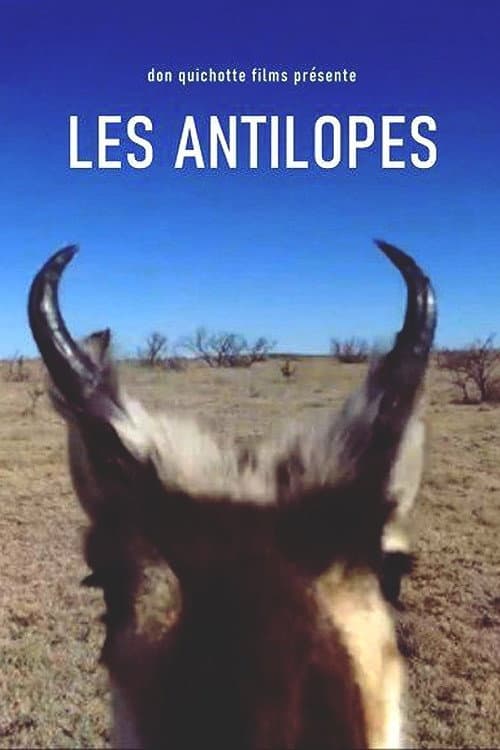 Les Antilopes (2020) poster
