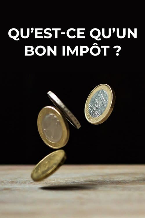 Qu'est-ce qu'un bon impôt ? (2019) poster