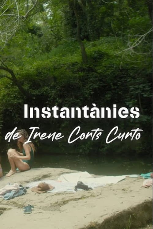 Instantànies (2025) poster
