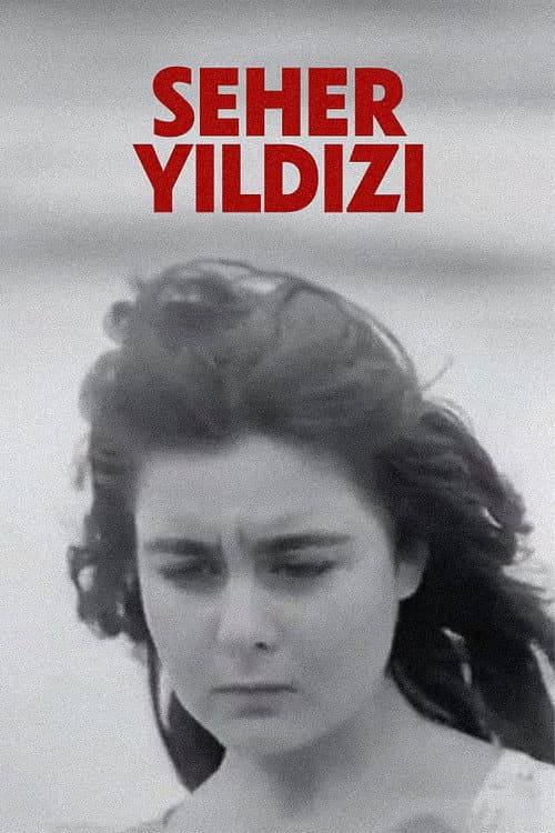 Seher Yıldızı (1959) poster