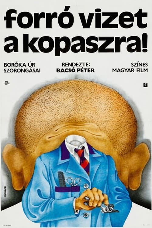 Forró vizet a kopaszra! (1972) poster