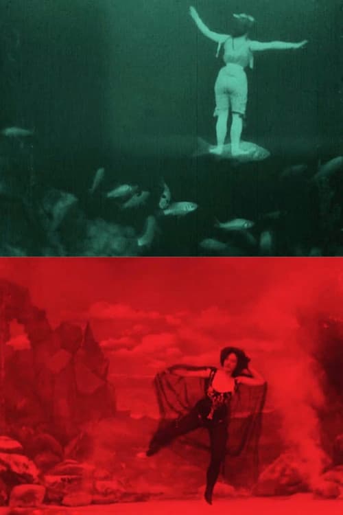 The Dancer's Dream (1905) poster