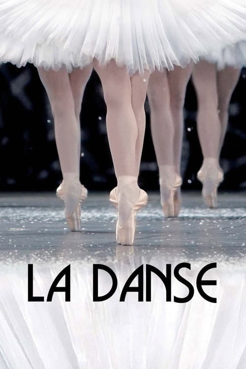 La Danse - Le Ballet de L'Opéra de Paris (2009) poster