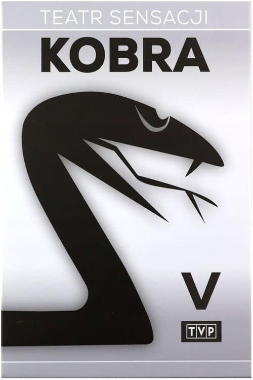 Za Kurtyną (1973) poster