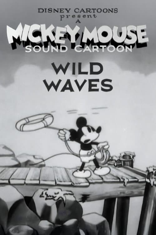 Wild Waves (1929) poster
