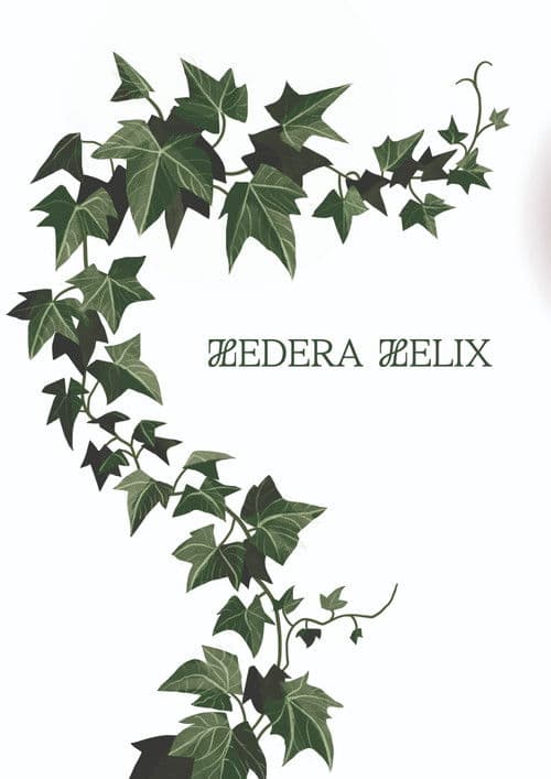 Hedera Helix (2026) poster