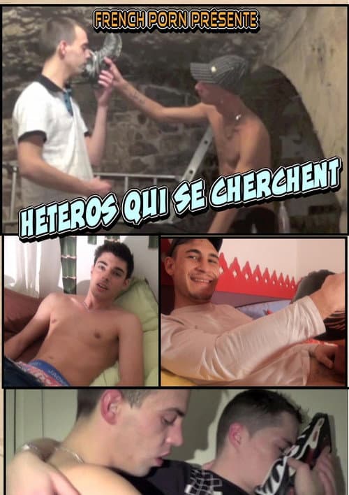 Heteros Qui se Cherchent (2014) poster