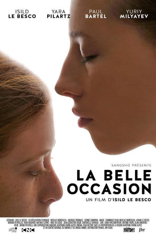 La belle occasion (2017) poster