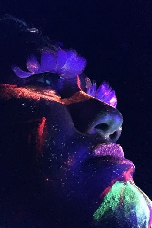 Fôlego Vivo (2021) poster