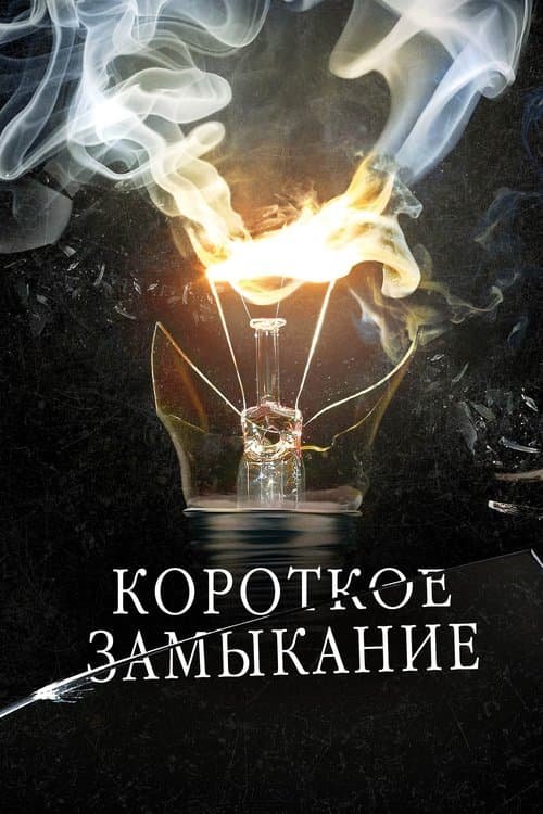 Короткое замыкание (2009) poster