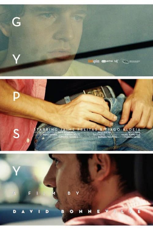Cigano (2013) poster
