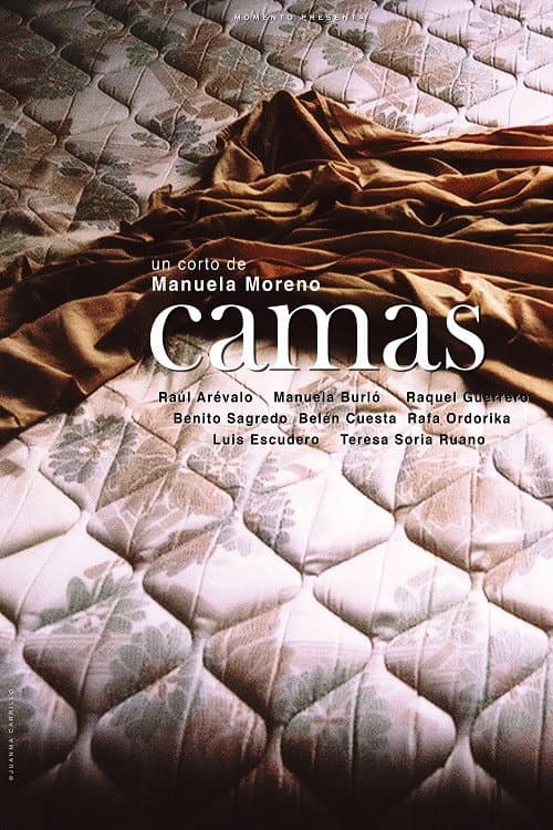 Camas (2010) poster