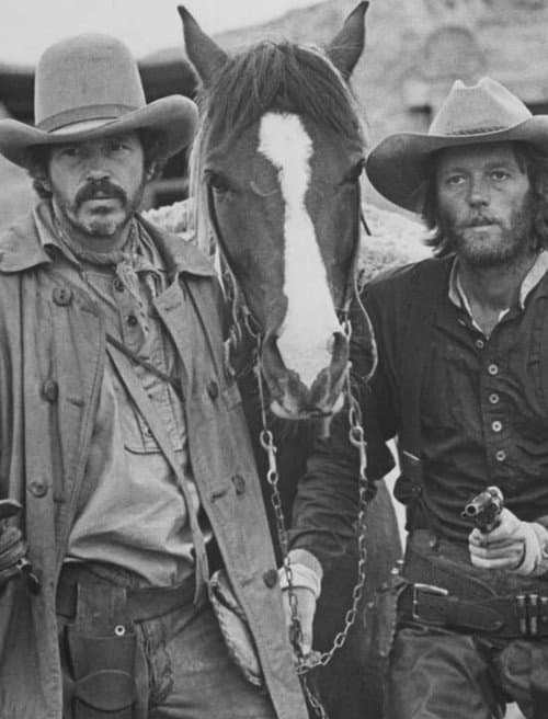 Return of the "Hired Hand" (2003) poster