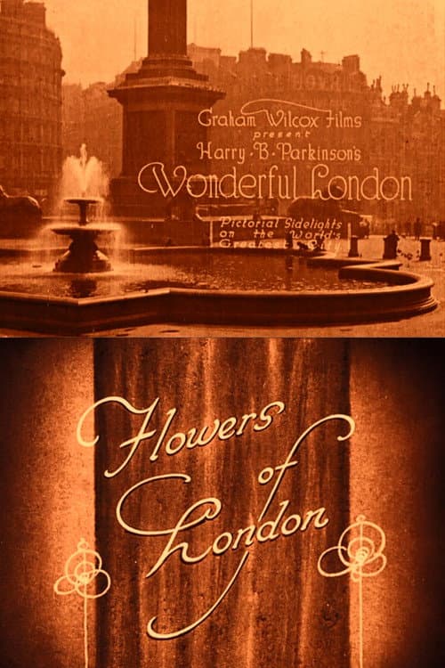 Wonderful London: Flowers of London (1924) poster