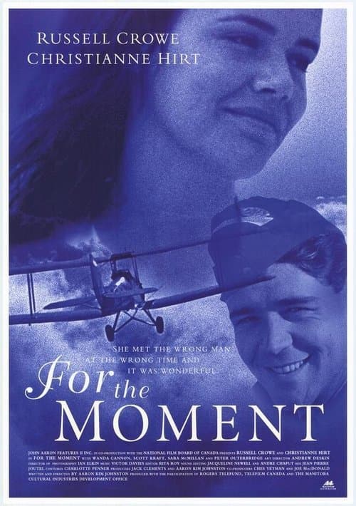 For the Moment (1993) poster
