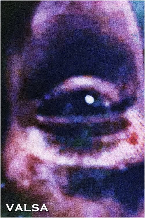 Valsa (2011) poster