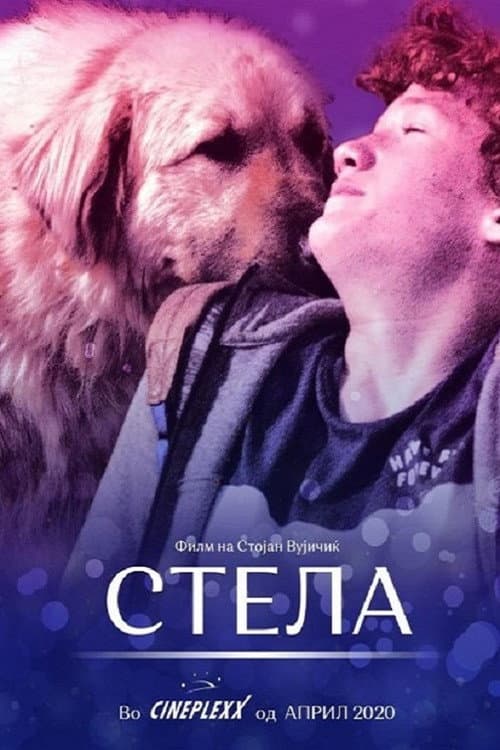 Стела (2020) poster