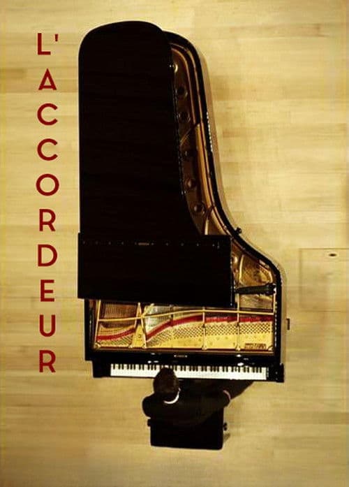 L'accordeur (2011) poster