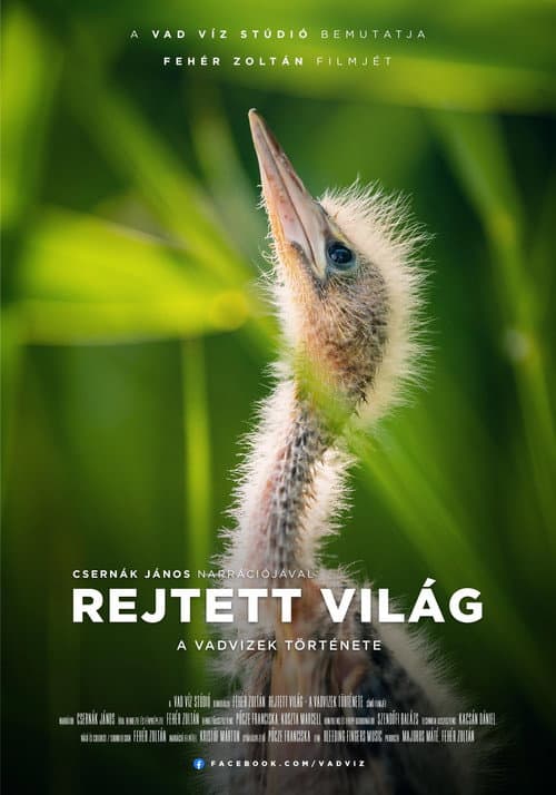 Rejtett világ - A vadvizek története (2023) poster