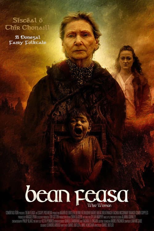 Bean Feasa (2022) poster