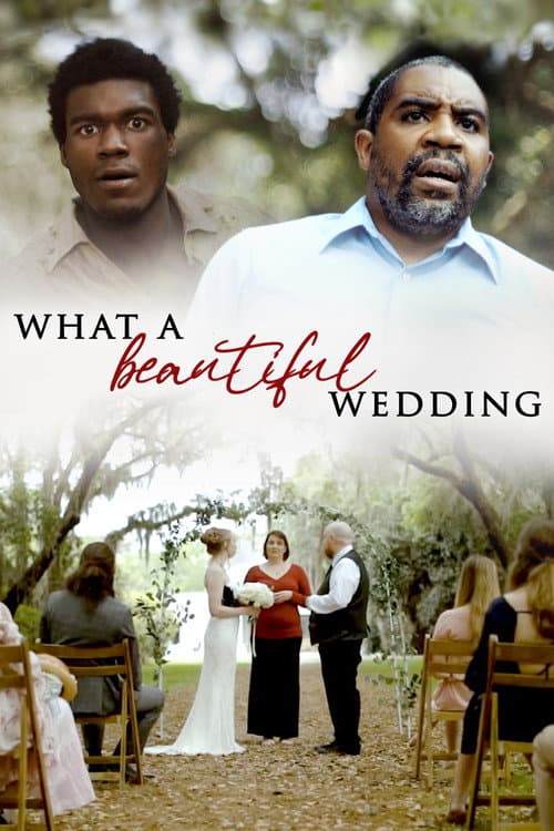 What A Beautiful Wedding (2021) poster
