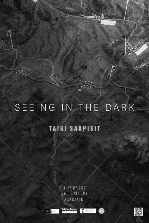 Seeing in the Dark (2022) poster