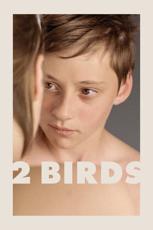 Smáfuglar (2008) poster