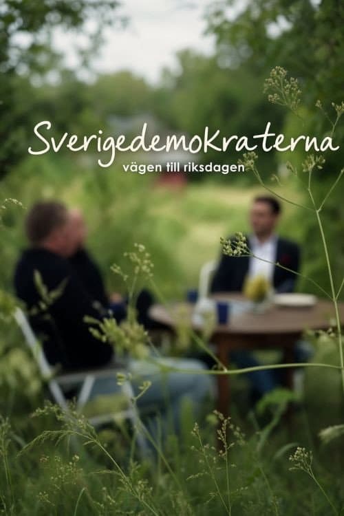 Sverigedemokraterna - vägen till riksdagen (2010) poster