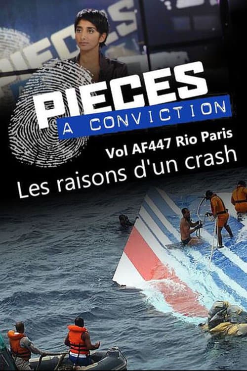 Pièces à conviction - Vol AF447 Rio Paris - Les raisons d'un crash (2013) poster